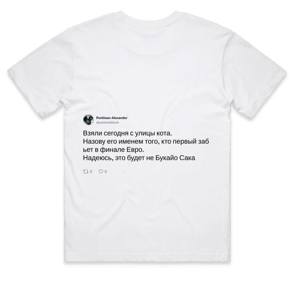Post: Взяли сегодня с улицы кота. Назову его именем того, кто первый забьет в финале Евро. Надеюсь, это будет не Букайо Сака