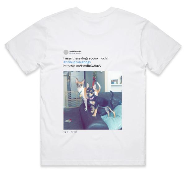 Post: I miss these dogs soooo much!! #chihuahua #dogs https://t.co/HmdbXw9uVv