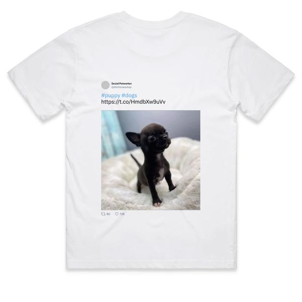 Post: #puppy #dogs https://t.co/HmdbXw9uVv