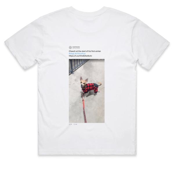 Post: Cheech at the start of his first winter #dogs #chihuahua https://t.co/HmdbXw9uVv