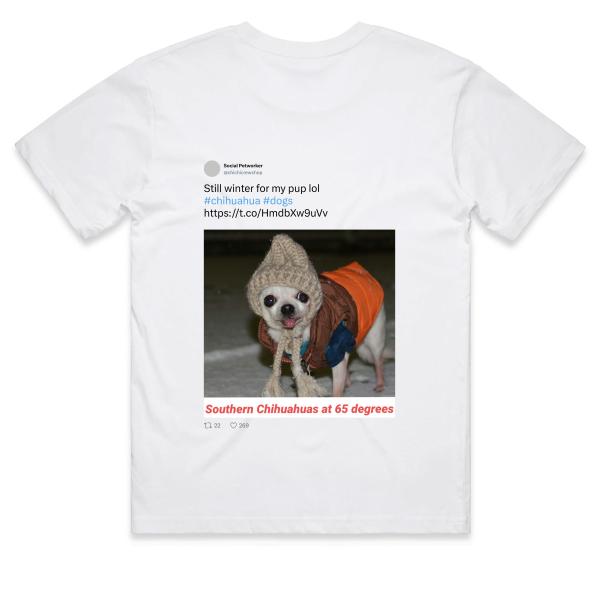 Post: Still winter for my pup lol #chihuahua #dogs https://t.co/HmdbXw9uVv