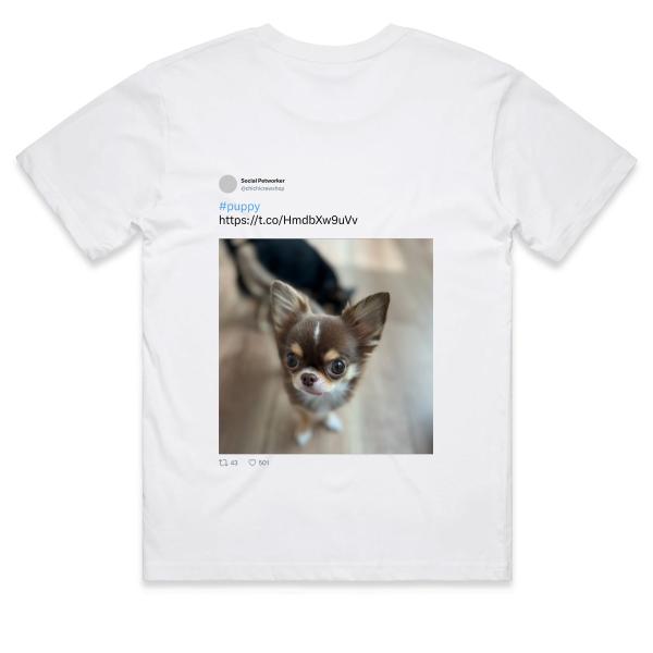 Post: #puppy https://t.co/HmdbXw9uVv