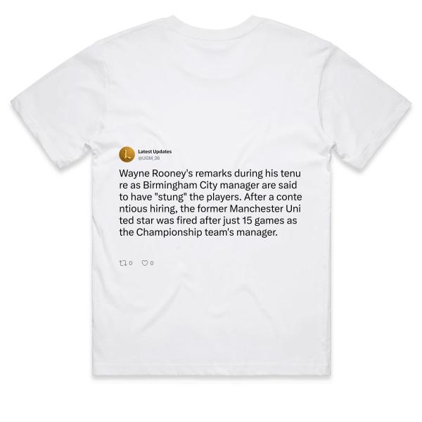 Post: Wayne Rooney's remarks during his tenure as Birmingham City manager are said to have "stung" the players. After a contentious hiring, the former Manchester United star was fired after just 15 games as the Championship team's manager.